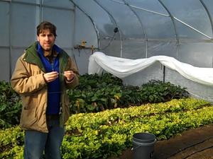 Borden - Shannon Brines in his greenhouse